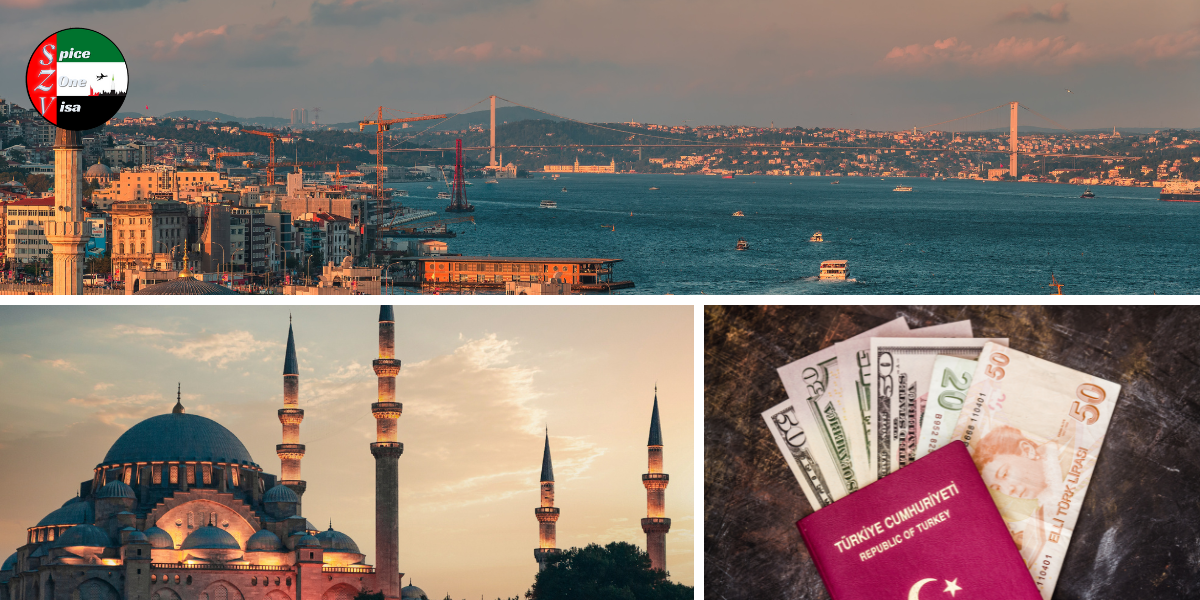 Turkish Visa from Dubai