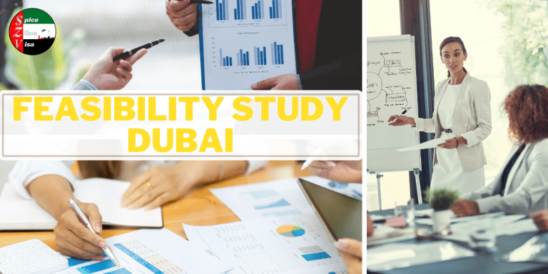 Feasibility Study Dubai