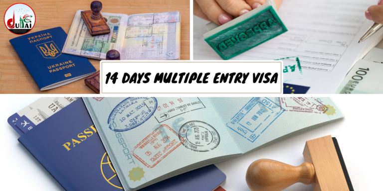14 days multiple entry visa